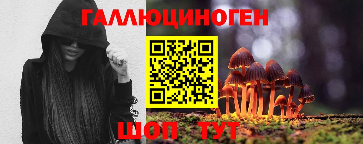 Псилоцибиновые грибы мухоморы Новокубанск