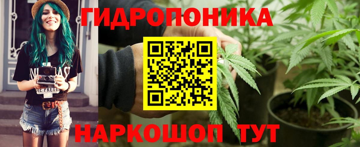 Канабис MAZAR Новокубанск